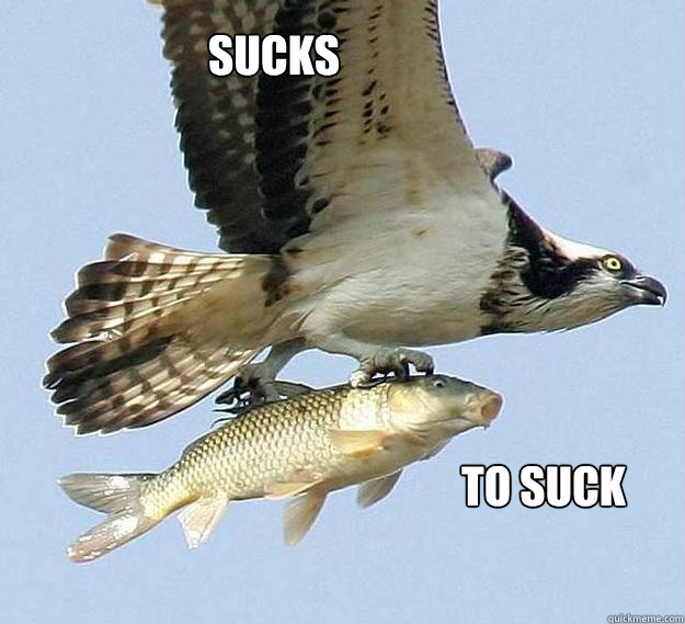 SUCKS To Suck  Sucks 2 suck