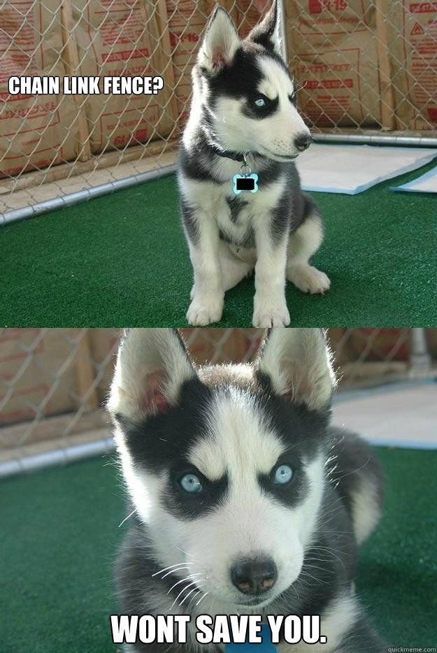 Chain link fence? Wont save you.  Insanity puppy