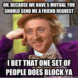 Oh, because we have 5 mutual you should send me a friend request I bet that one set of people does block ya  Condescending Wonka