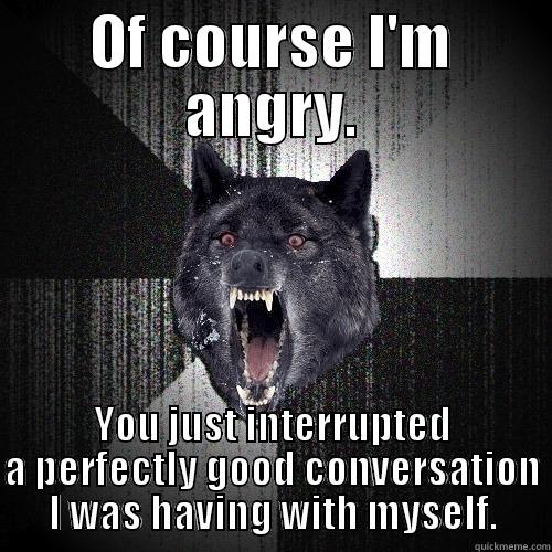 OF COURSE I'M ANGRY. YOU JUST INTERRUPTED A PERFECTLY GOOD CONVERSATION I WAS HAVING WITH MYSELF. Insanity Wolf