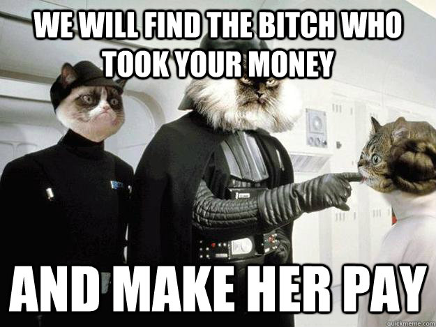 We will find the bitch who took your money and make her pay - We will find the bitch who took your money and make her pay  grumpy cat star wars