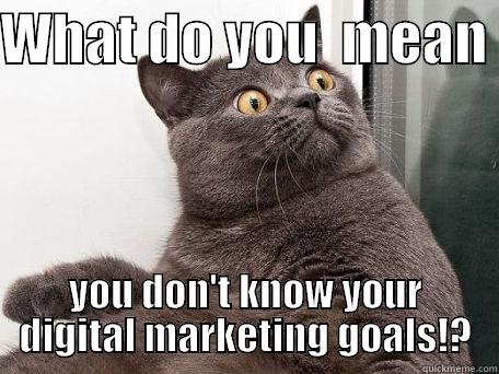 WHAT DO YOU  MEAN  YOU DON'T KNOW YOUR DIGITAL MARKETING GOALS!? conspiracy cat