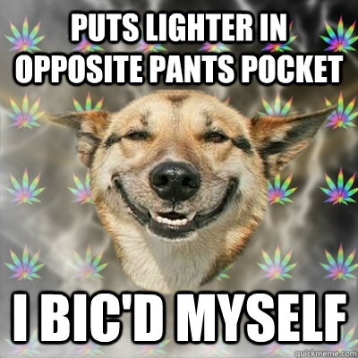 puts lighter in opposite pants pocket I Bic'd myself  Stoner Dog