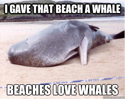 I gave that beach a whale beaches love whales  beached whale