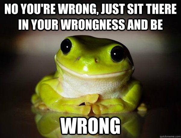 No you're wrong, just sit there in your wrongness and be wrong  Fascinated Frog