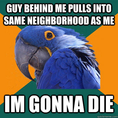 Guy behind me pulls into same neighborhood as me Im gonna die - Guy behind me pulls into same neighborhood as me Im gonna die  Paranoid Parrot