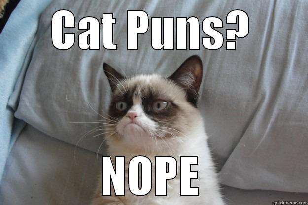 CAT PUNS? NOPE Grumpy Cat
