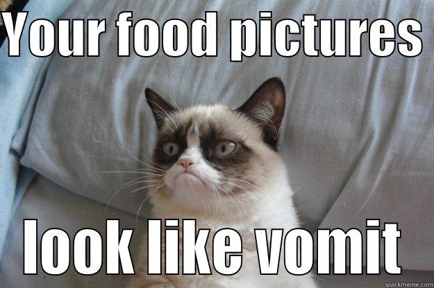 YOUR FOOD PICTURES  LOOK LIKE VOMIT Grumpy Cat