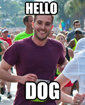 Hello Dog  Ridiculously photogenic guy