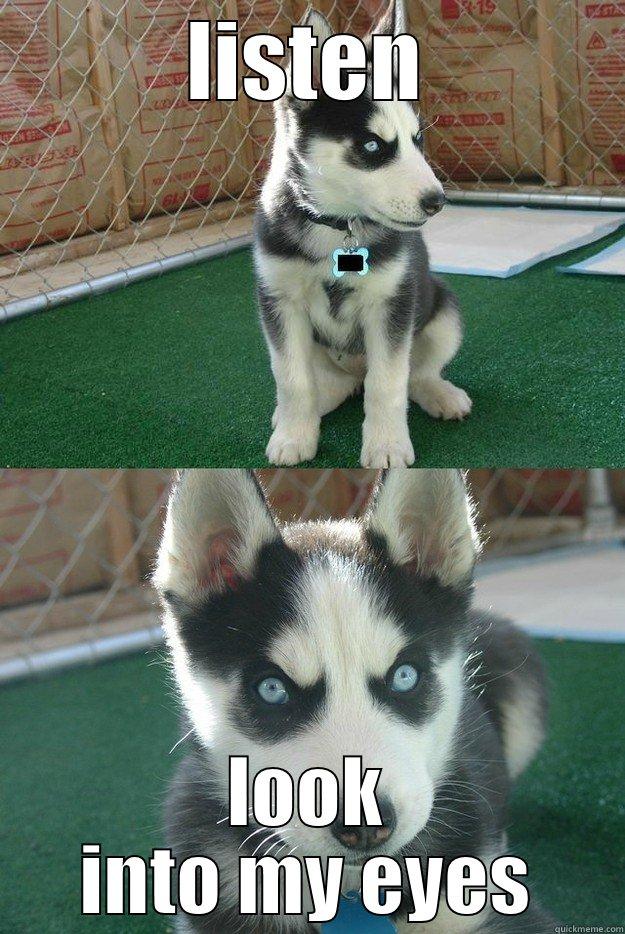 LISTEN LOOK INTO MY EYES Insanity puppy