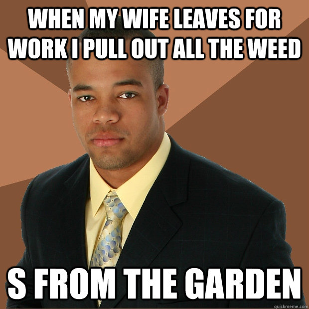 when my wife leaves for work i pull out all the weed s from the garden  Successful Black Man