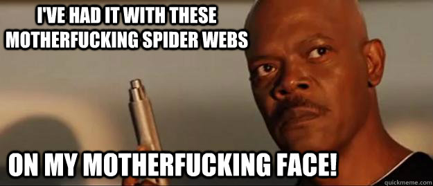 I've had it with these motherfucking spider webs  on my motherfucking face!  Snakes on a Plane Sammy Jackson