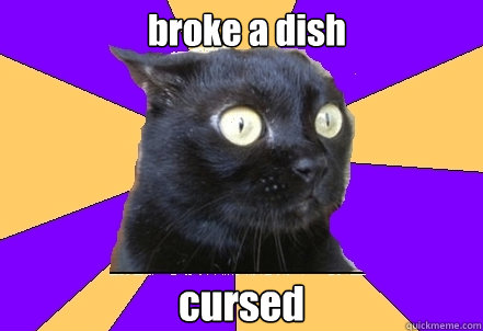 broke a dish cursed  Anxiety Cat
