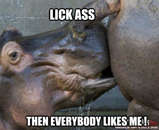LICK ASS Then everybody likes me.