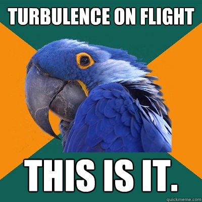 Turbulence on Flight  THIS IS IT. - Turbulence on Flight  THIS IS IT.  Paranoid Parrot