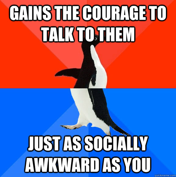 Gains the courage to talk to them just as socially awkward as you  Socially Awesome Awkward Penguin