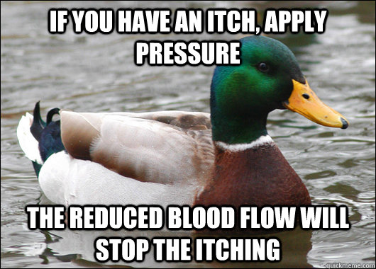 If you have an itch, apply pressure the reduced blood flow will stop the itching - If you have an itch, apply pressure the reduced blood flow will stop the itching  Actual Advice Mallard
