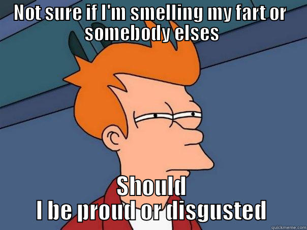 NOT SURE IF I'M SMELLING MY FART OR  SOMEBODY ELSES SHOULD I BE PROUD OR DISGUSTED Futurama Fry