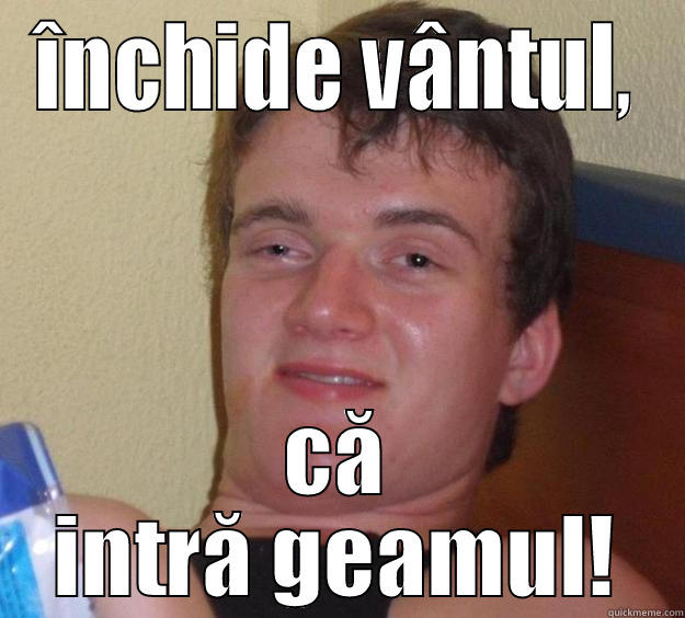 ÎNCHIDE VÂNTUL, CĂ INTRĂ GEAMUL! 10 Guy