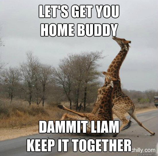 Let's get you 
home buddy Dammit Liam
Keep it together  Giraffe