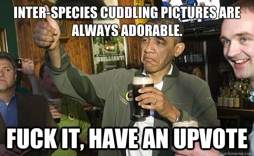 Inter-species cuddling pictures are always adorable. fuck it, have an upvote  Drunk Obama