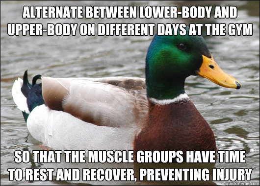 Alternate between lower-body and upper-body on different days at the gym So that the muscle groups have time to rest and recover, preventing injury  Actual Advice Mallard