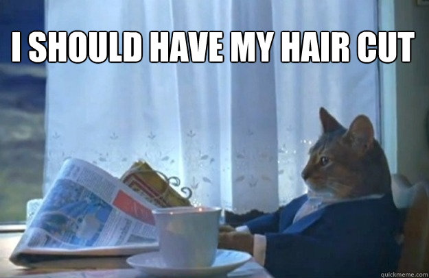 I should have my hair cut  Sophisticated Cat