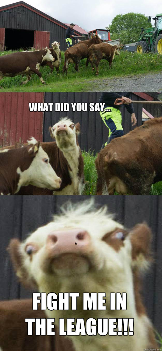 
 Fight me in the league!!! What did you say...  - 
 Fight me in the league!!! What did you say...   Derp Cow