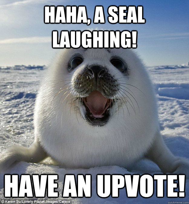 haha, a seal laughing! Have an upvote!  Easily Pleased Seal