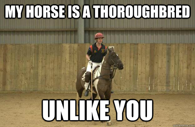 My horse is a thoroughbred Unlike you  