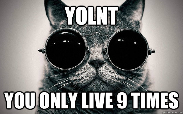 YOLNT You only live 9 times  Morpheus Cat Facts