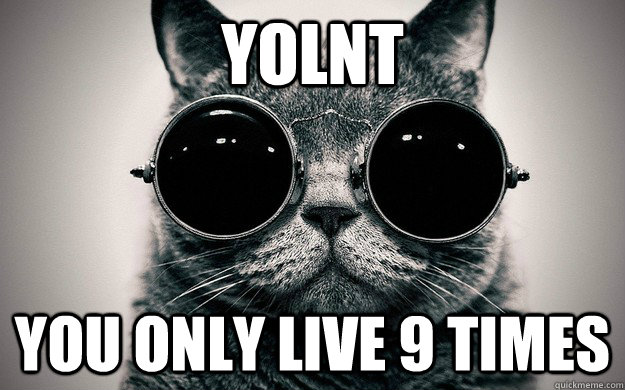 YOLNT You only live 9 times - YOLNT You only live 9 times  Morpheus Cat Facts