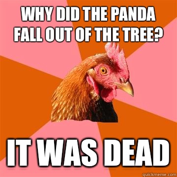 why did the panda fall out of the tree? it was dead  Anti-Joke Chicken