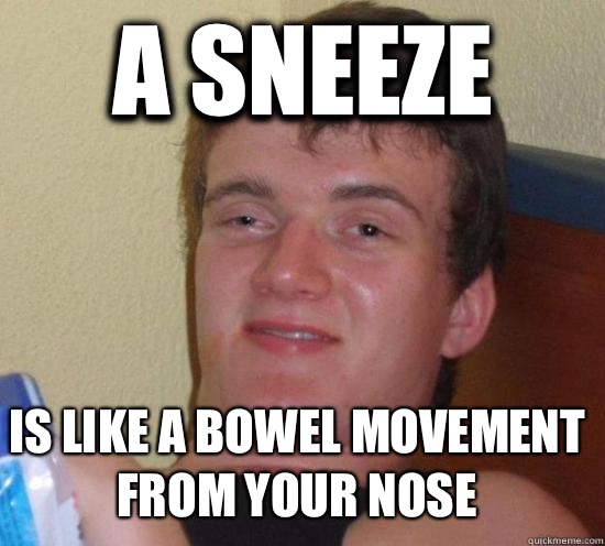 A sneeze Is like a bowel movement from your nose  10 Guy