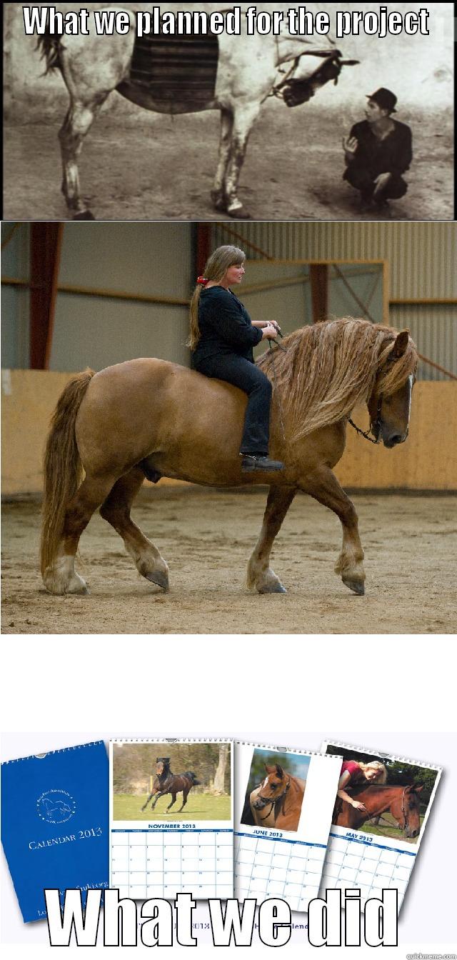 WHAT WE PLANNED FOR THE PROJECT WHAT WE DID Misc