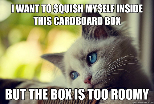 i want to squish myself inside this cardboard box but the box is too roomy  First World Problems Cat