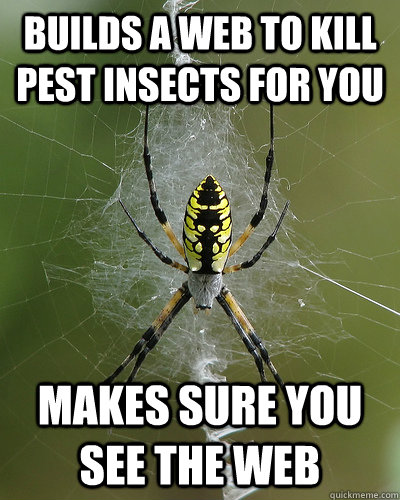 builds a web to kill pest insects for you makes sure you see the web - builds a web to kill pest insects for you makes sure you see the web  Misc