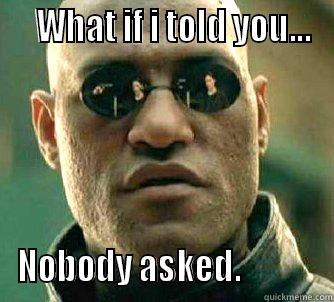    WHAT IF I TOLD YOU... NOBODY ASKED.            Matrix Morpheus
