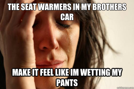 The seat warmers in my brothers car make it feel like Im wetting my pants - The seat warmers in my brothers car make it feel like Im wetting my pants  First World Problems