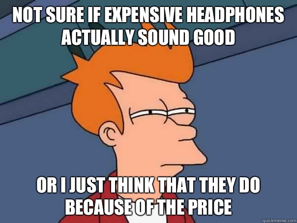 Not sure if expensive headphones actually sound good Or I just think that they do because of the price - Not sure if expensive headphones actually sound good Or I just think that they do because of the price  Futurama Fry