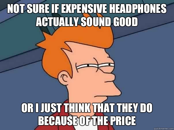 Not sure if expensive headphones actually sound good Or I just think that they do because of the price  Futurama Fry