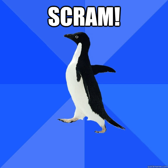 SCRAM!   Socially Awkward Penguin