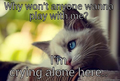 WHY WON'T ANYONE WANNA PLAY WITH ME? I'M CRYING ALONE HERE.. First World Problems Cat