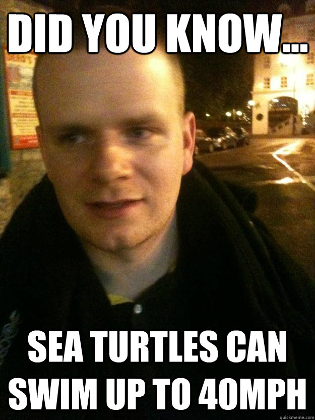 Did you know... sea turtles can swim up to 40mph  Did you know Ian
