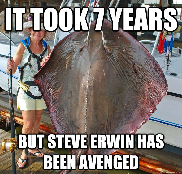 It took 7 years But Steve Erwin has been avenged  Stingray