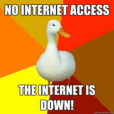 no internet access the internet is down!  Tech Impaired Duck