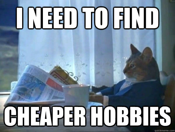 I need to find  cheaper hobbies  morning realization newspaper cat meme