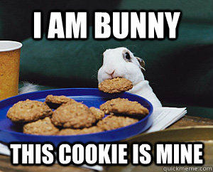 i am bunny this cookie is mine  