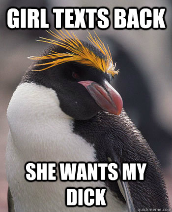Girl texts back She wants my dick  Socially Overconfident Penguin