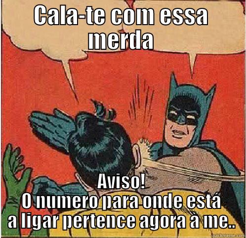 CALA-TE COM ESSA MERDA AVISO! O NUMERO PARA ONDE ESTÁ A LIGAR PERTENCE AGORA À ME.. Batman Slapping Robin